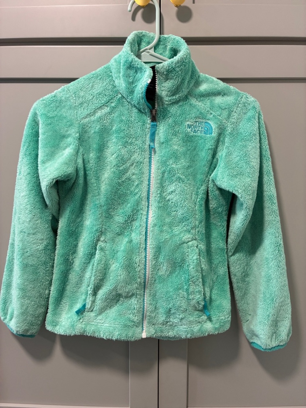 The North Face Aqua Green Plush Full-Zip Fleece Jacket